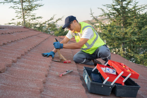 Best Shingle Roofing Installation  in Broken Bow, NE